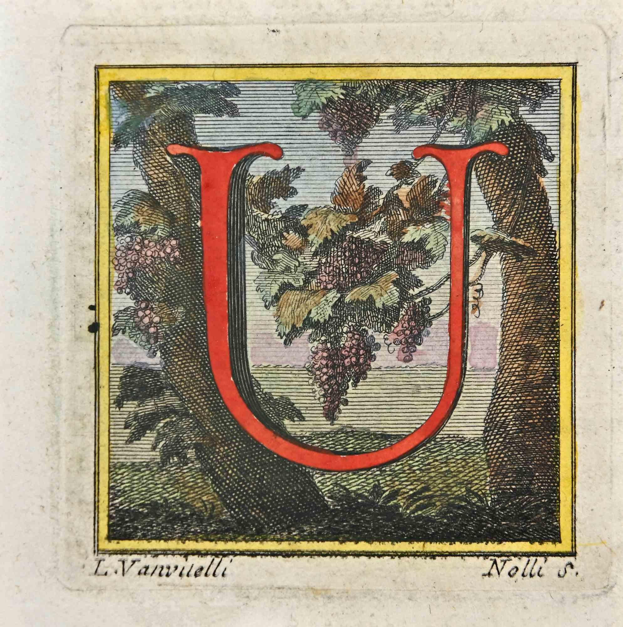 18th alphabet