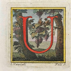 Buchstabe des Alphabets U  - Radierung von Luigi Vanvitelli  18. Jahrhundert
