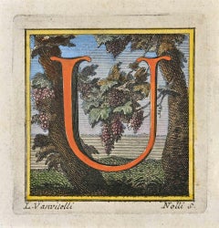 Antique Letter of the Alphabet U - Etching by Luigi Vanvitelli - 18th Century