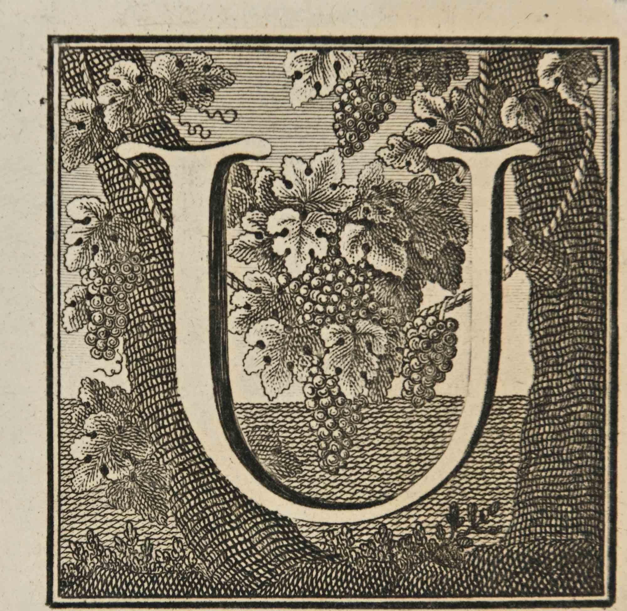 Letter of the Alphabet U from the series "Antiquities of Herculaneum", is an etching on paper realized by Luigi Vanvitelli in the 18th century.

Good conditions except for minor cuts.

The etching belongs to the print suite “Antiquities of