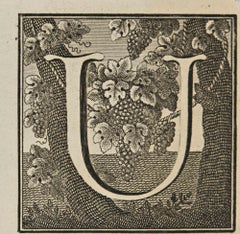 Letter of the Alphabet U - Etching by Luigi Vanvitelli - 18th Century