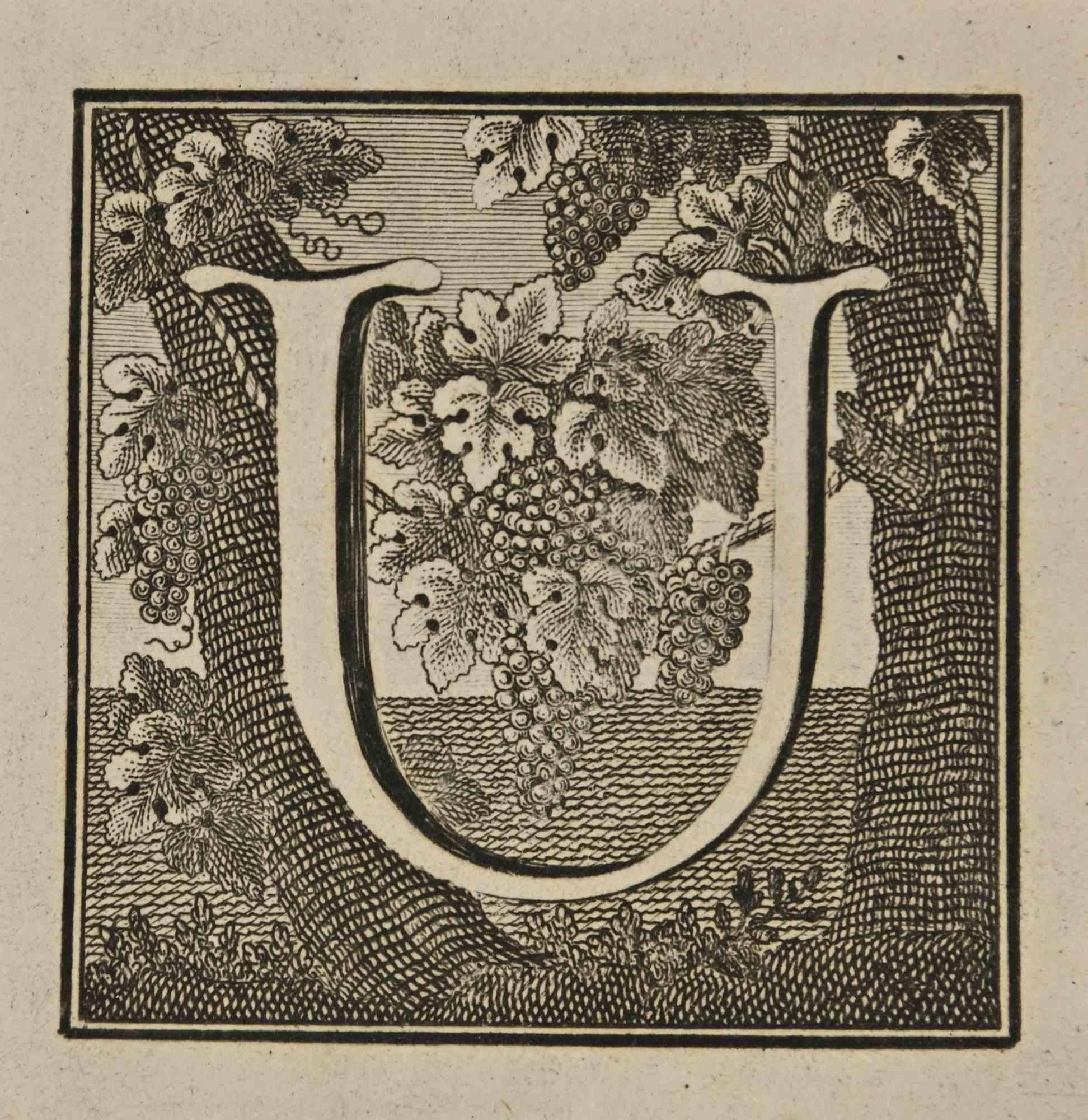 Buchstabe des Alphabets U,  aus der Serie "Altertümer von Herculaneum" ist eine Radierung auf Papier, die von Luigi Vanvitelli im 18.

Gute Bedingungen.

Die Radierung gehört zu der Druckserie "Antiquities of Herculaneum Exposed" (Originaltitel: "Le