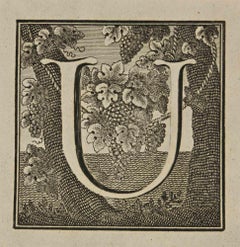 Letter of the Alphabet U - Etching by Luigi Vanvitelli - 18th Century