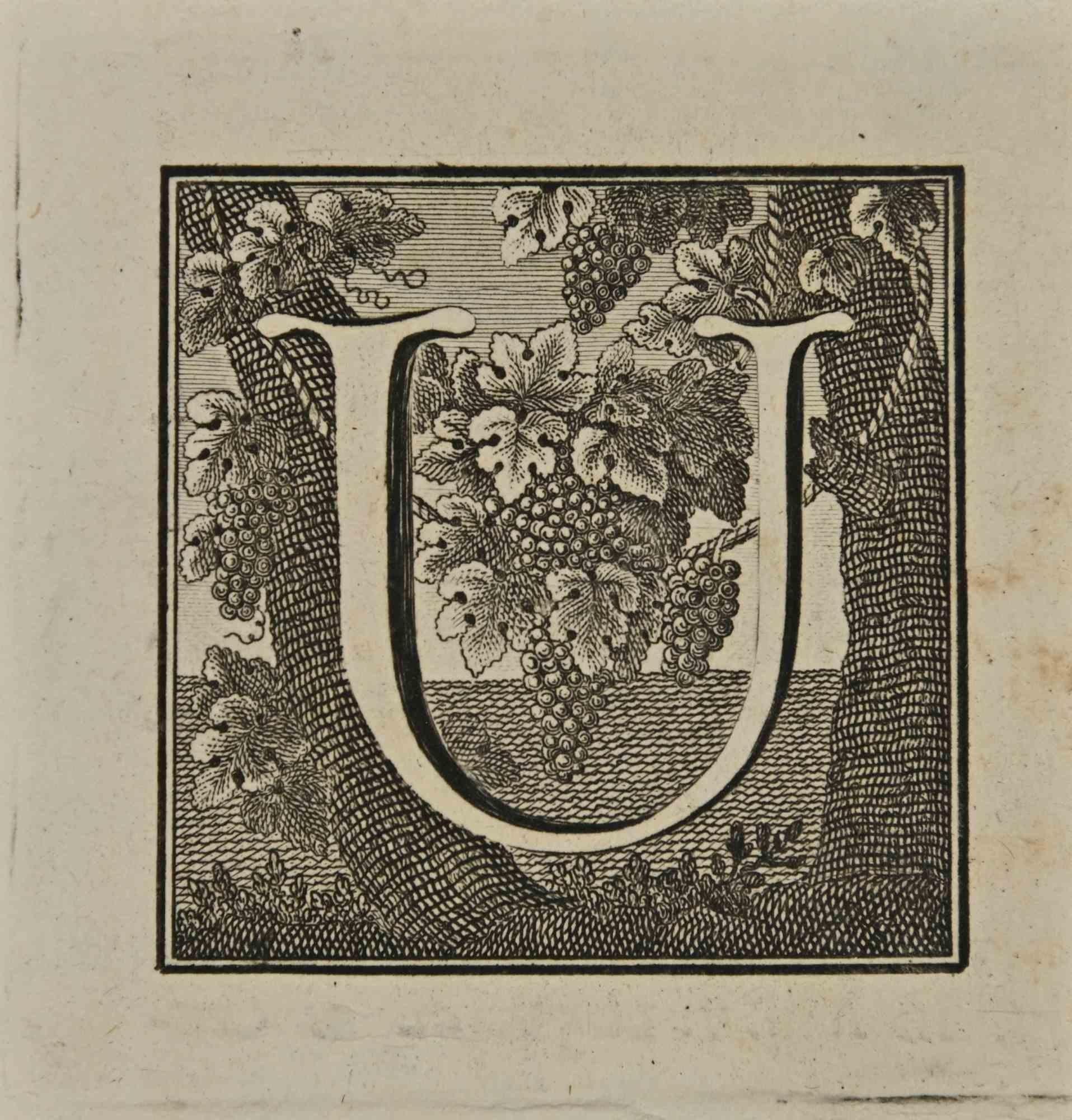 Buchstabe des Alphabets U,  aus der Serie "Altertümer von Herculaneum" ist eine Radierung auf Papier, die von Luigi Vanvitelli im 18.

Gute Bedingungen.

Die Radierung gehört zu der Druckserie "Antiquities of Herculaneum Exposed" (Originaltitel: "Le