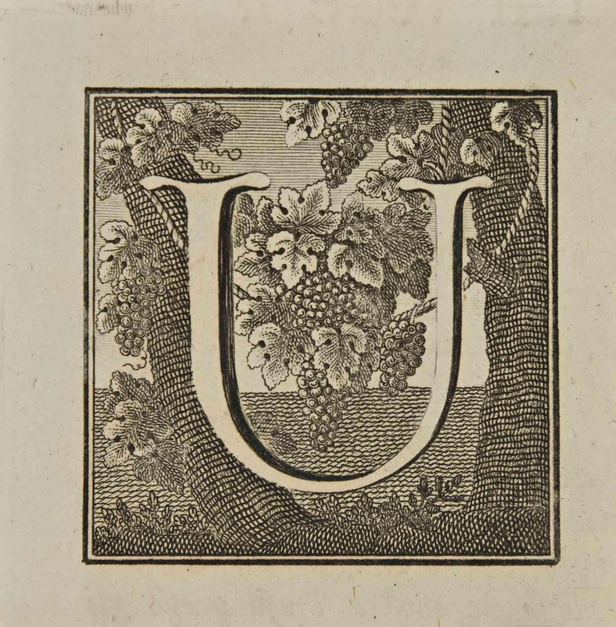 Buchstabe des Alphabets U,  aus der Serie "Altertümer von Herculaneum", ist eine Radierung auf Papier, die von Luigi Vanvitelli im 18.

Gute Bedingungen.

Die Radierung gehört zu der Druckserie "Antiquities of Herculaneum Exposed" (Originaltitel: