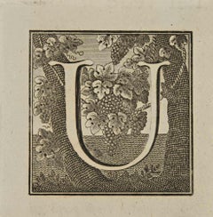 Buchstabe „U“ – Radierung von Luigi Vanvitelli – 18. Jahrhundert