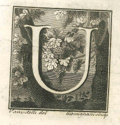 Letter U - Etching by Luigi Vanvitelli - 18th Century