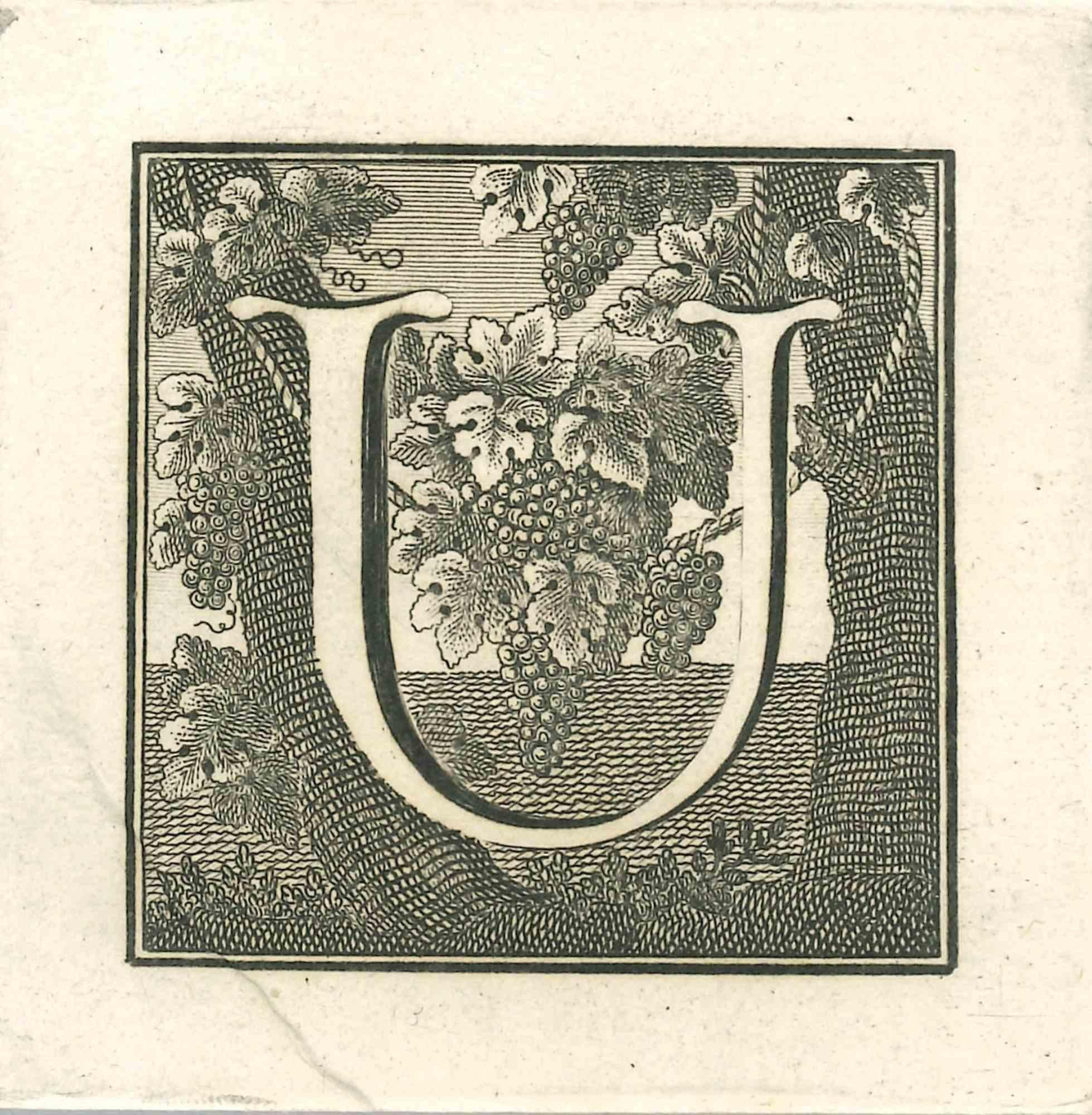 Letter U is an Etching realized by Luigi Vanvitelli.

The etching belongs to the print suite “Antiquities of Herculaneum Exposed” (original title: “Le Antichità di Ercolano Esposte”), an eight-volume volume of engravings of the finds from the