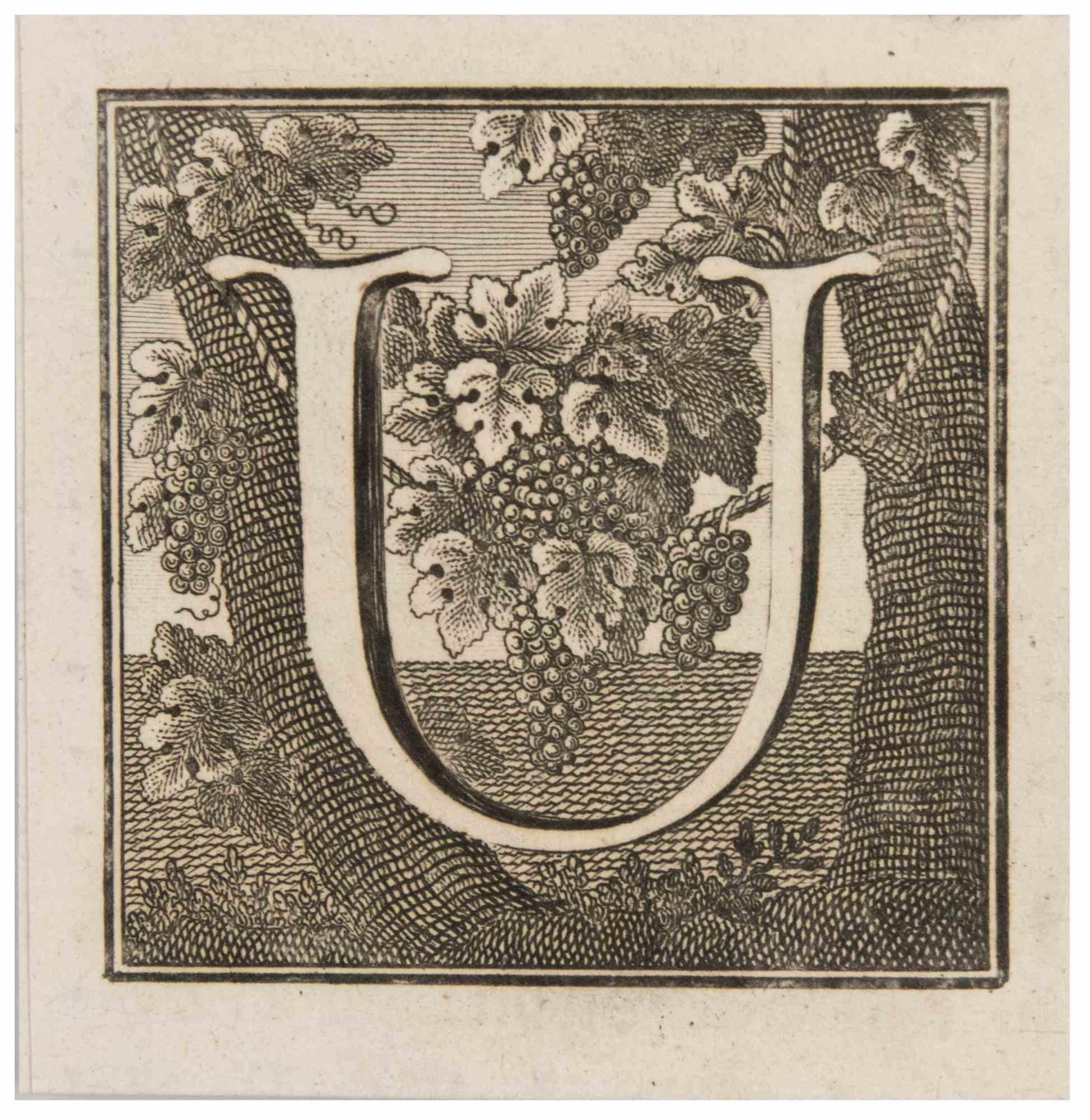 Letter U is an Etching realized by Luigi Vanvitelli.

The etching belongs to the print suite “Antiquities of Herculaneum Exposed” (original title: “Le Antichità di Ercolano Esposte”), an eight-volume volume of engravings of the finds from the