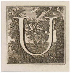 Lettera U - Acquaforte di Luigi Vanvitelli - XVIII secolo