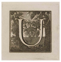 Lettera U - Acquaforte di Luigi Vanvitelli - XVIII secolo