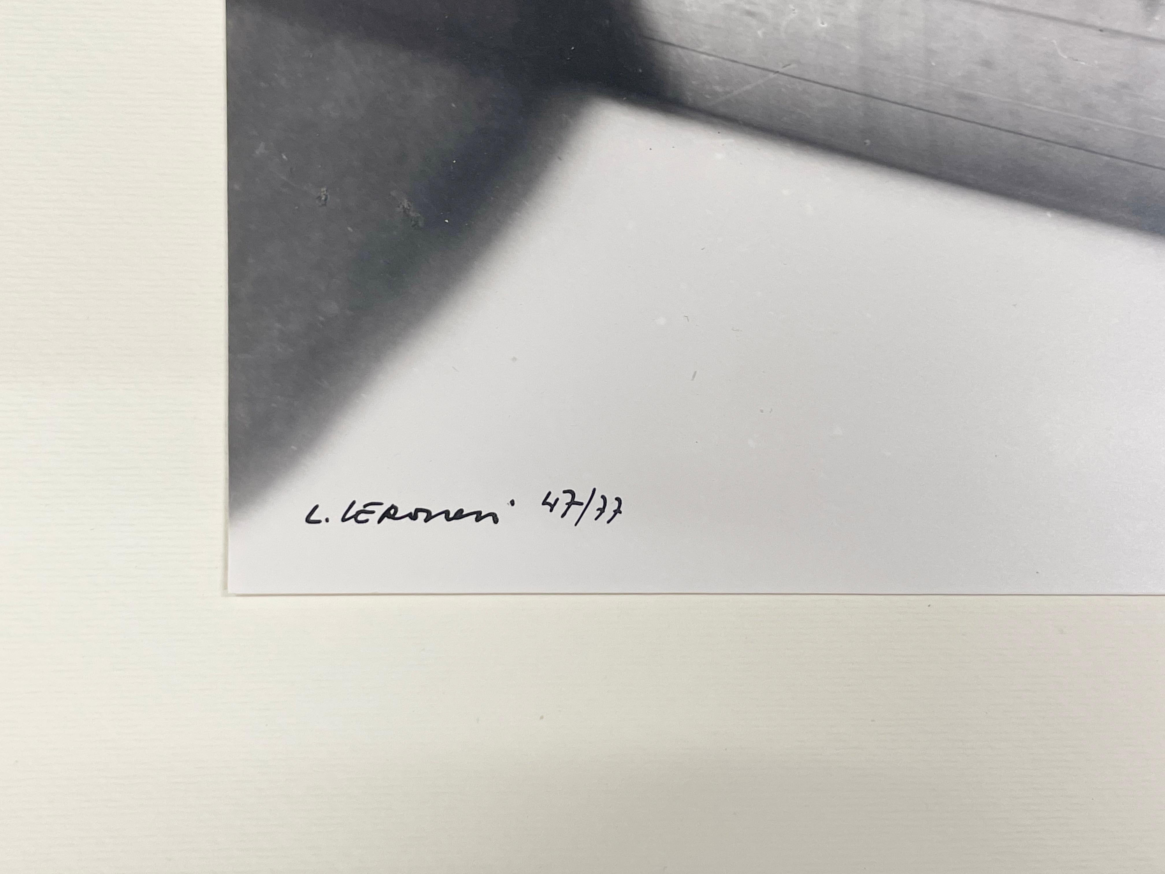 Fotogramma Nr. 56 & Nr. 57 - Abstrakter Schwarz-Weiß-Druck, Fotogramm, Negative im Angebot 7
