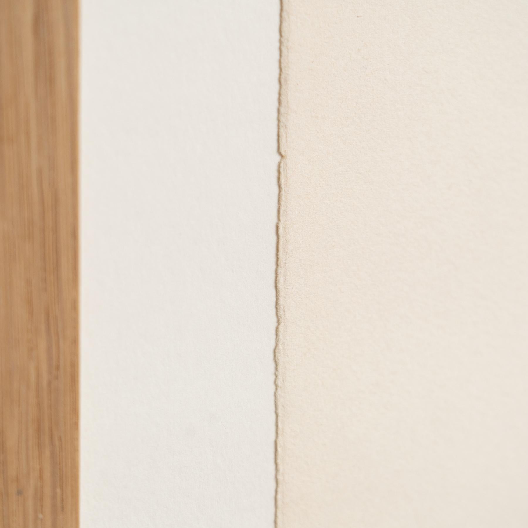 Sérigraphie sans titre signée et numérotée Luigi Veronesi, 1976 en vente 8