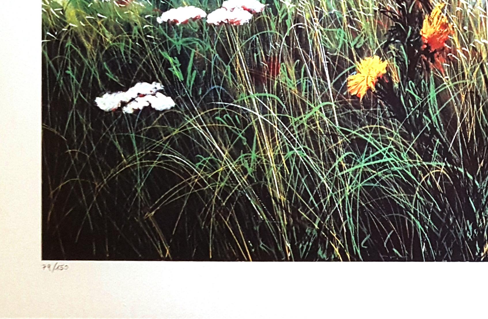 Wildflowers - Original Screen Print by L. Rossi Garzione - 1980s - Gray Landscape Print by Luigino Rossi Garzione