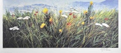 Vintage Wildflowers - Screen Print by L. Rossi Garzione - 1970s