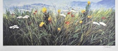Flores silvestres - Serigrafía de L. Rossi Garzione - Finales del siglo XX