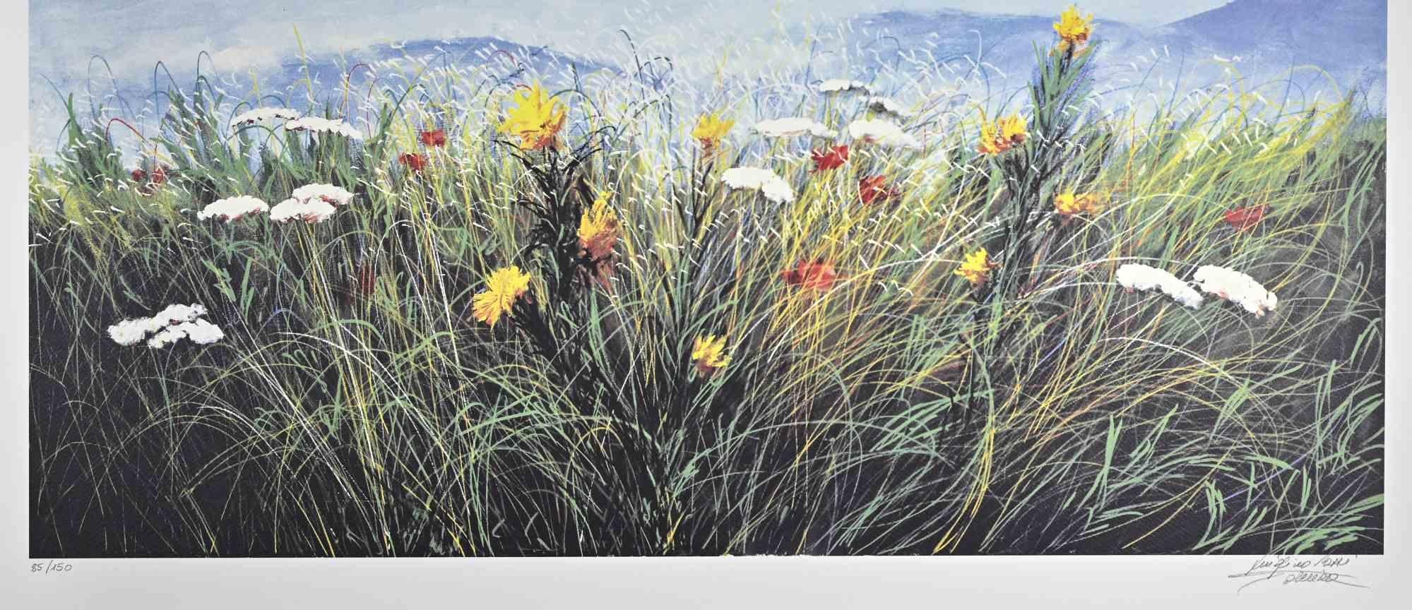 Plant Prints and Multiples