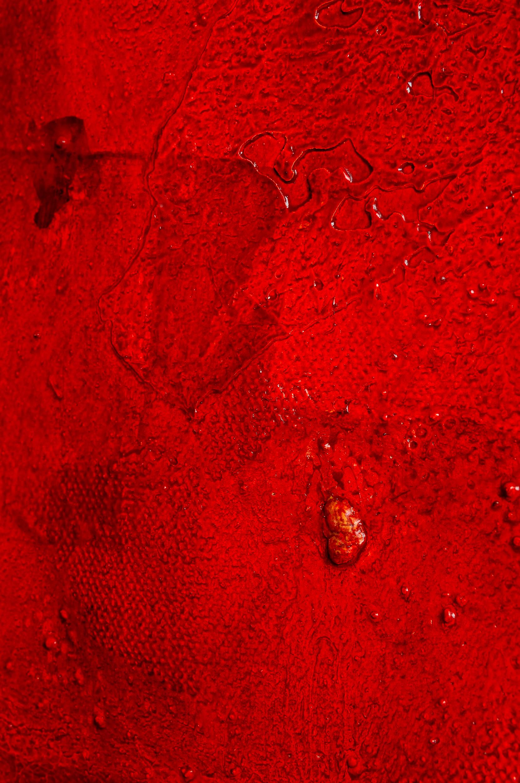 Suspension - Animal figurative magic in red 3