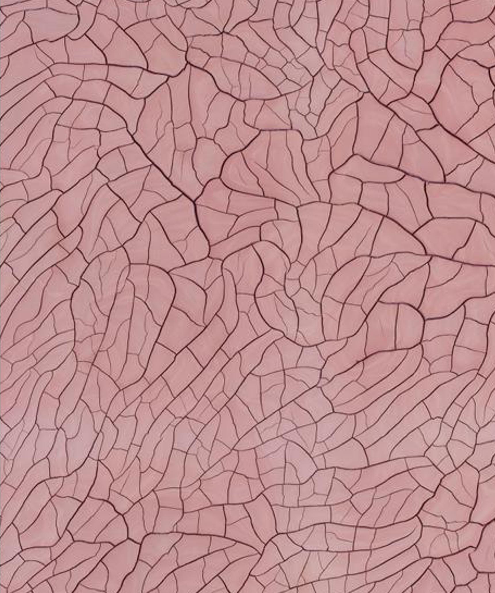 Vortex 31, Arte contemporanea, Pittura astratta, 21° secolo - Painting di Luis Carrera-Maul