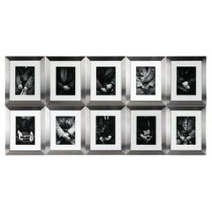 Luis Gallo (Cuba, B.1962) Set 10 Black & White Photographs, "Passengers" Series