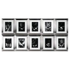 Luis Gallo Set of 10 Black and White Photographs, "Passengers"