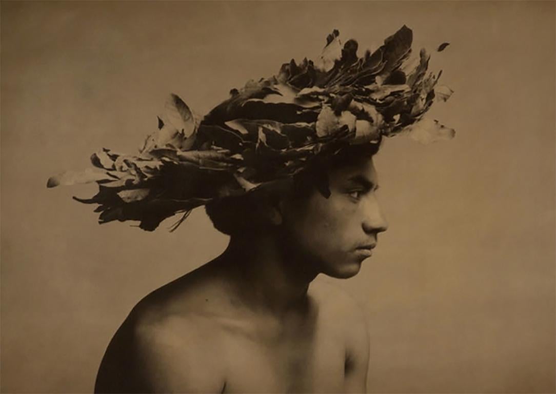 "El Arbol" portrait man with leaf headdress sepia tone