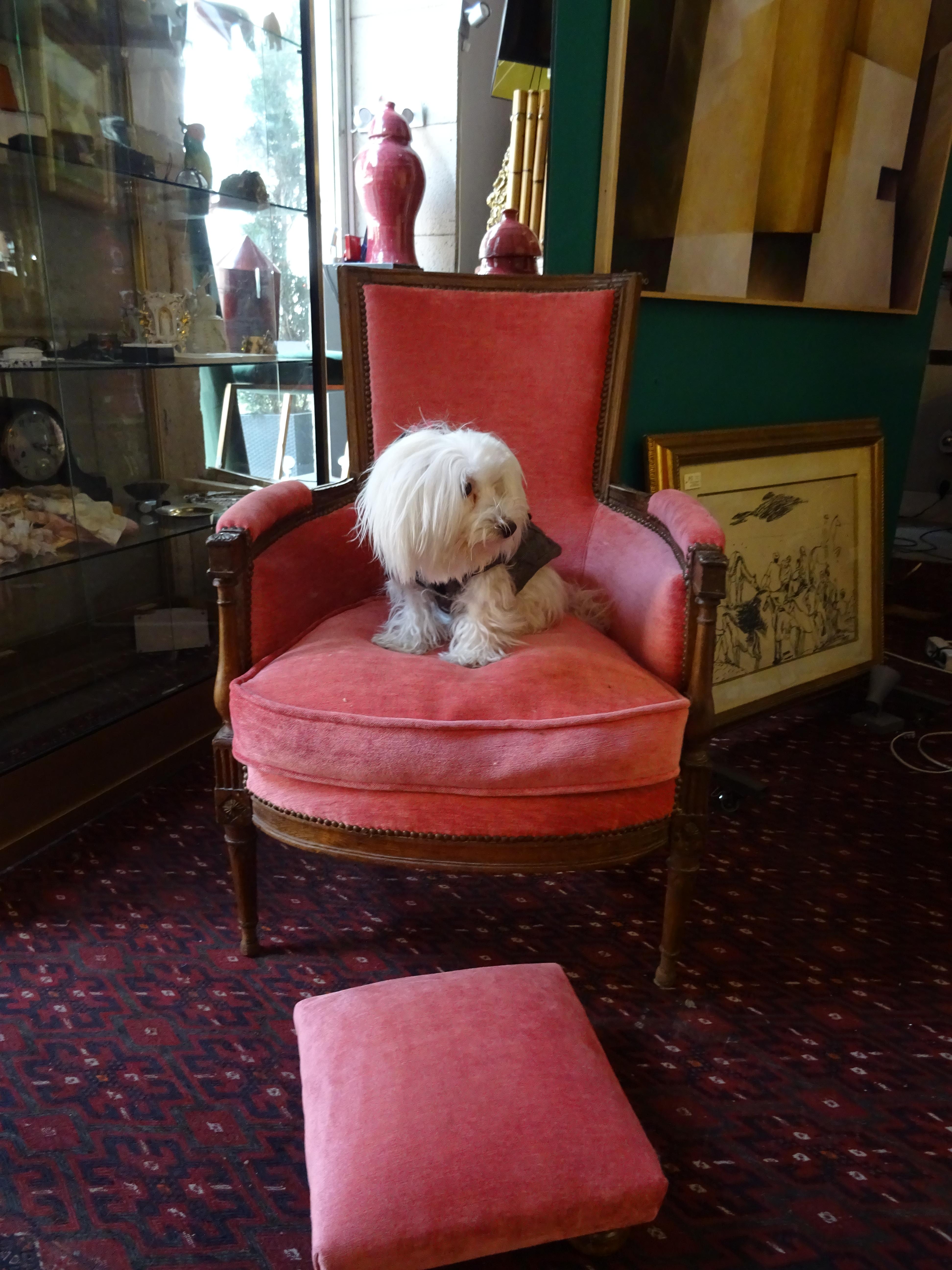 Luis xvi French Walnut Wood and Pink Velvet Bergere Chair, circa 1790 5