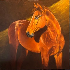 "Horse with Gazzuolo Eye"  Oil  cm. 80 x 80