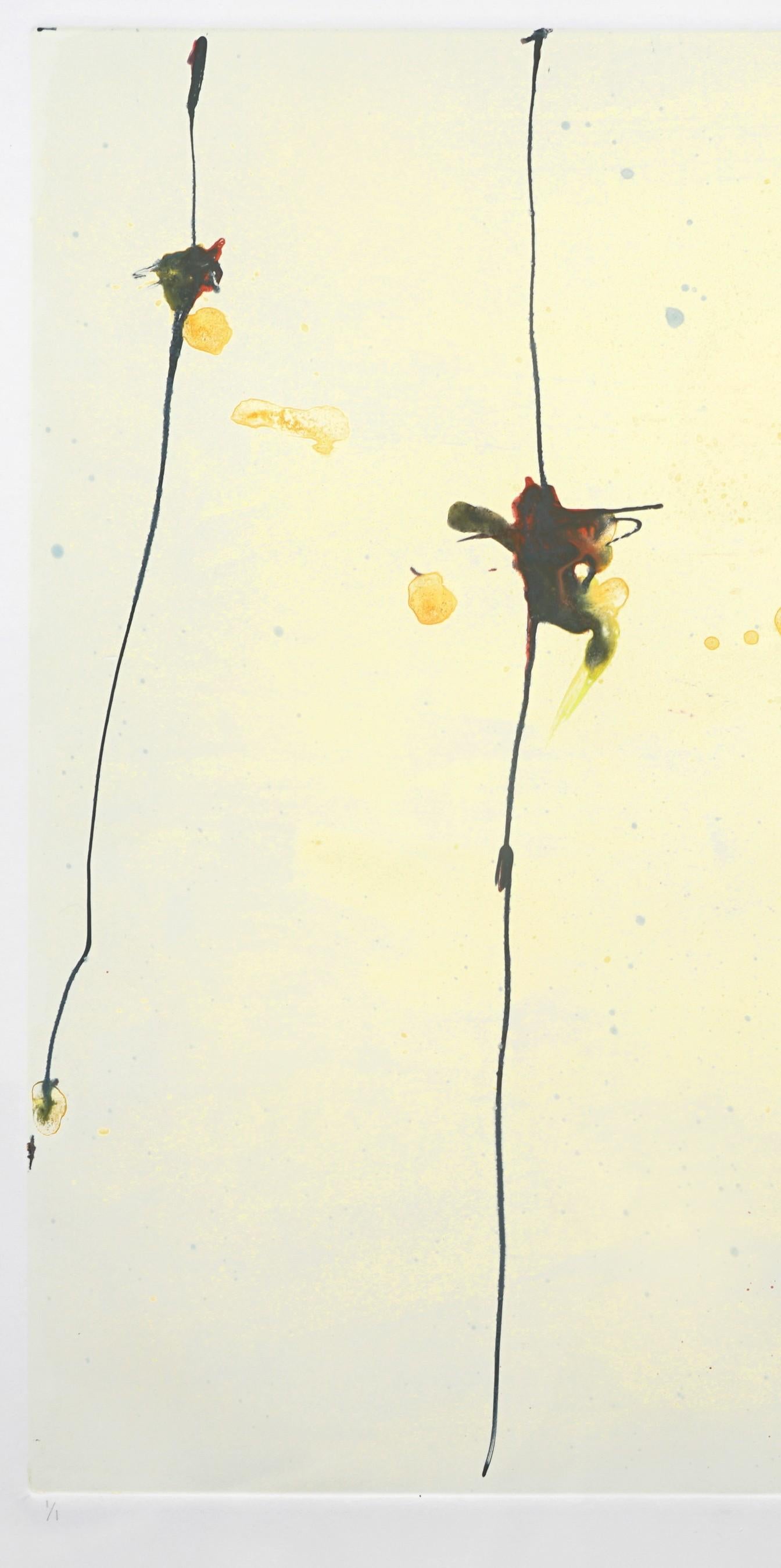Nudos de Fuego (Fuego) Monotipo sobre Papel Arte Contemporáneo  Artista latinoamericano - Print de Luisa Duarte
