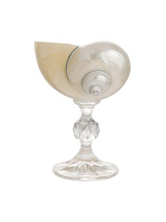 Lukáš Houdek Ariel Pearl Polished Natural Shell Glass - Short