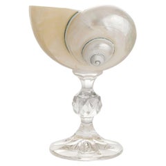 Lukáš Houdek Ariel Pearl Polished Natural Shell Glass - Short