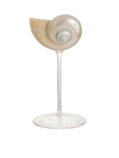 Lukáš Houdek Ariel Pearl Polished Natural Shell Glass - Tall