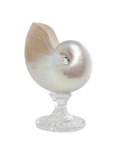 Lukáš Houdek Nautilus Polished Natural Shell and Glass Vase