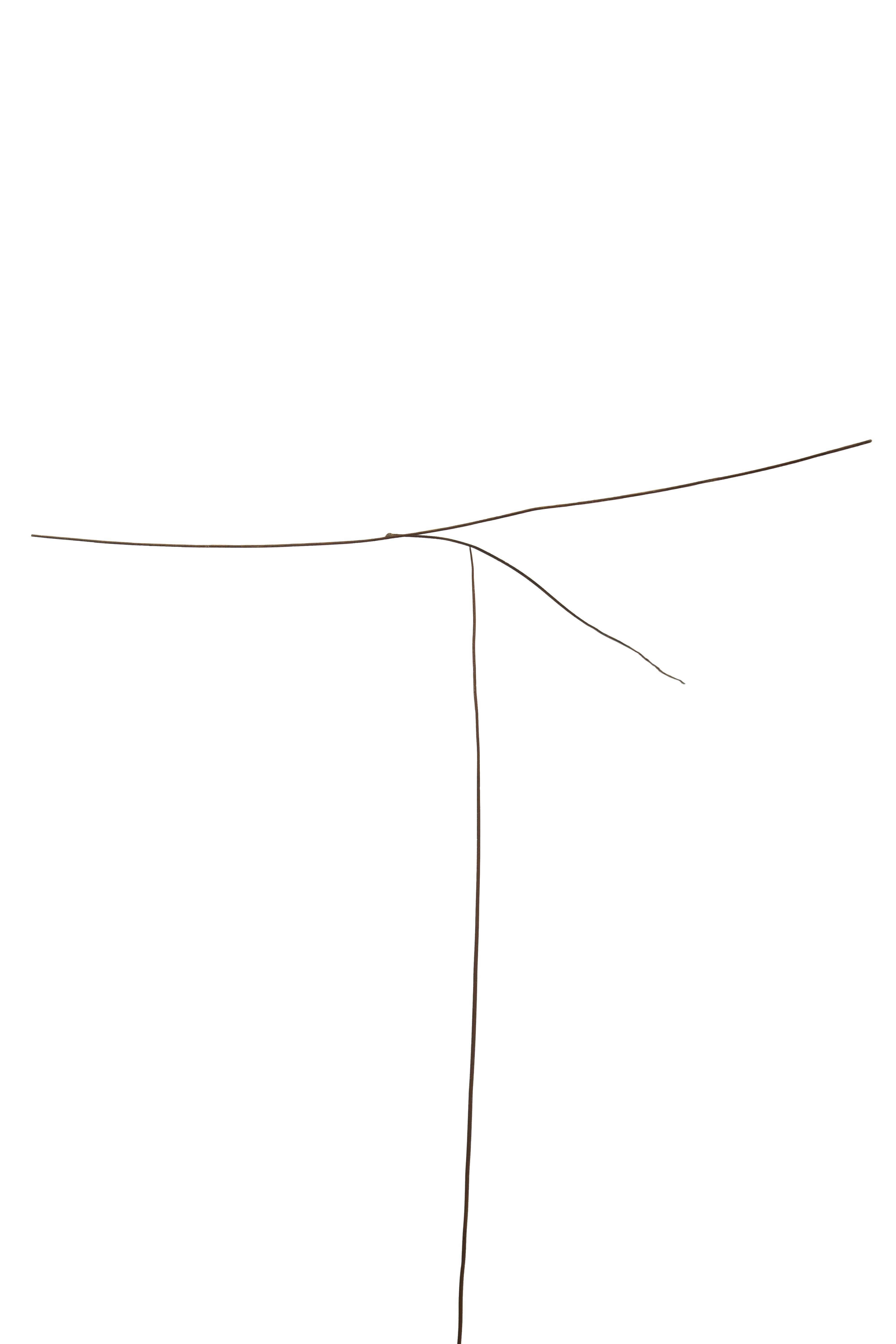 Il lavoro di Lukas Ulmi svela la bellezza nascosta delle forme prendendo pietre, forme apparentemente statiche, oggetti incompleti o privi di significato e trasformandoli in autentiche sculture in cui leggerezza, movimento e poesia si uniscono in