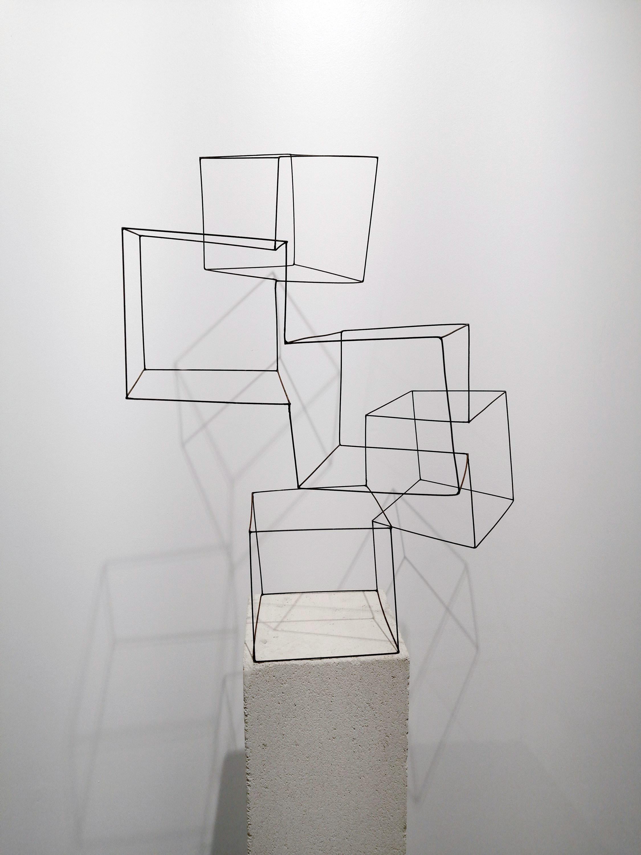 Sin Título - 21st Century, Contemporary Art, Abstract Sculpture, Iron