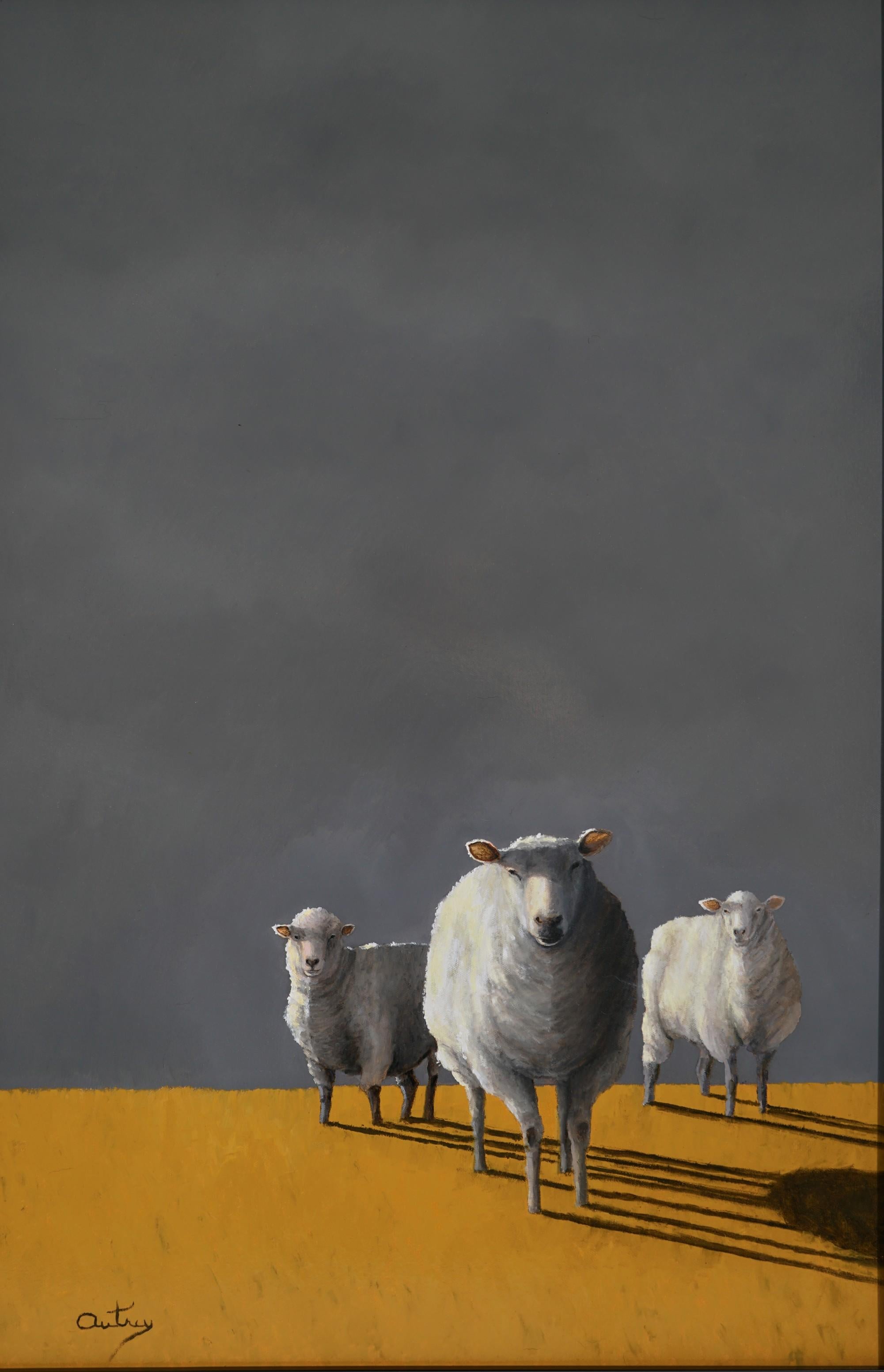 A TIME TO SHEAR    Realism Light and  Shadow, Sheep  Ovis (Latin) Oil on Canvas - Painting by Luke Autrey