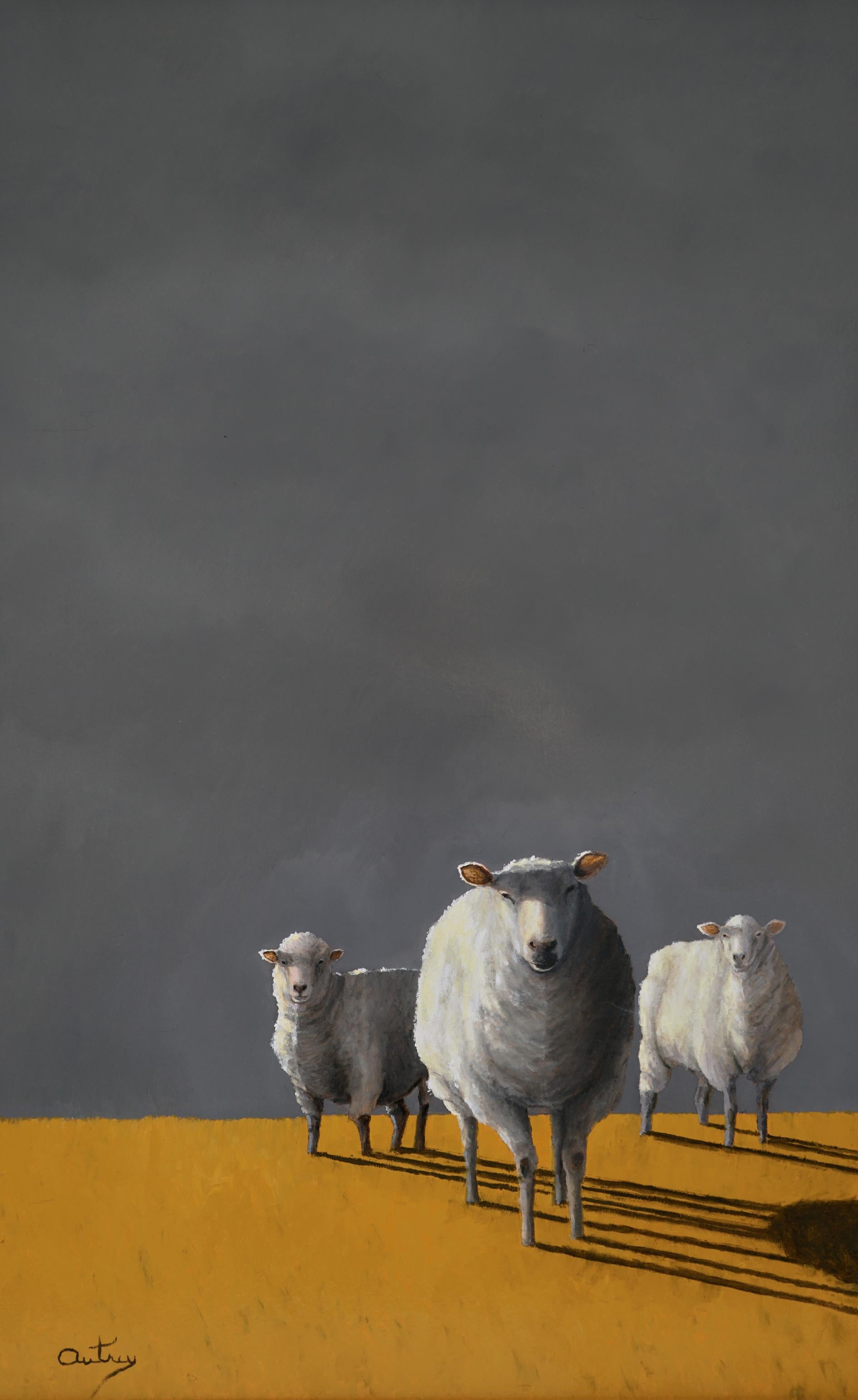 A TIME TO SHEAR    Realism Light and  Shadow, Sheep  Ovis (Latin) Oil on Canvas - American Realist Painting by Luke Autrey