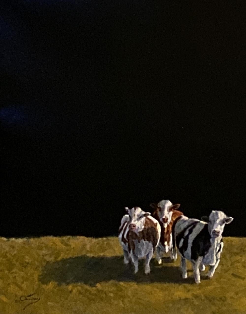 Bovine Beauties  Realist, Light/ Shadow  Oil Painting 20