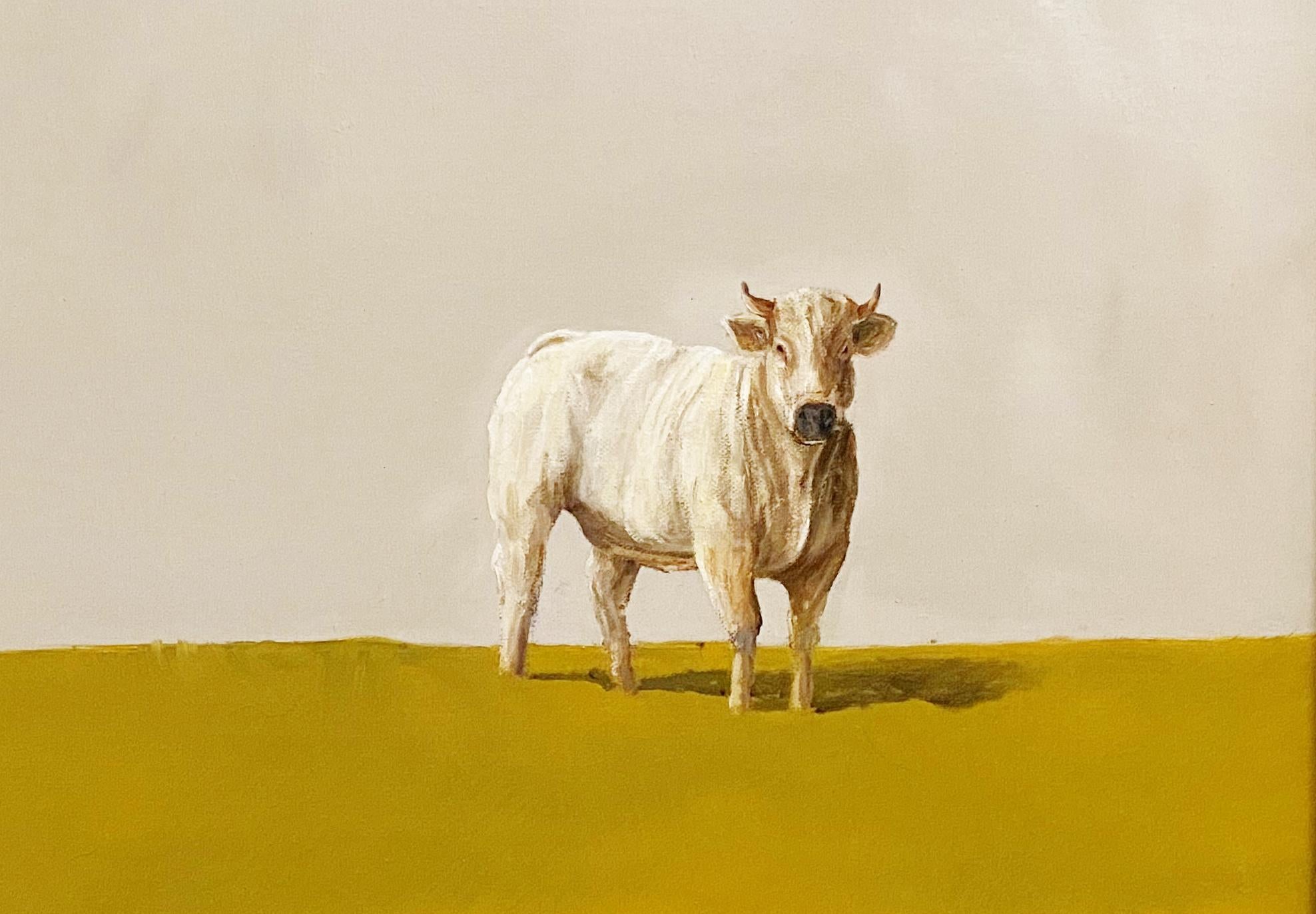 Bovine#2, Bevo UT , Realism, Light/ Shadow, Texas Cattle, Rodeo, Bos (Latin),  - Painting by Luke Autrey