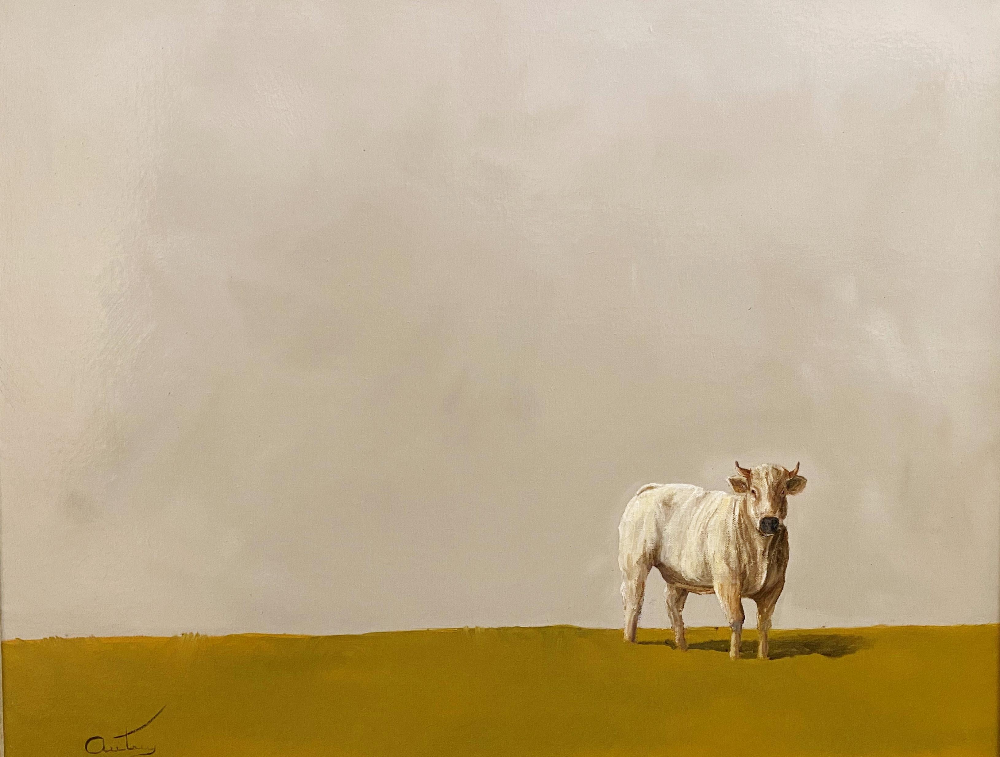 Bovine#2, Bevo UT , Realism, Light/ Shadow, Texas Cattle, Rodeo, Bos (Latin), 