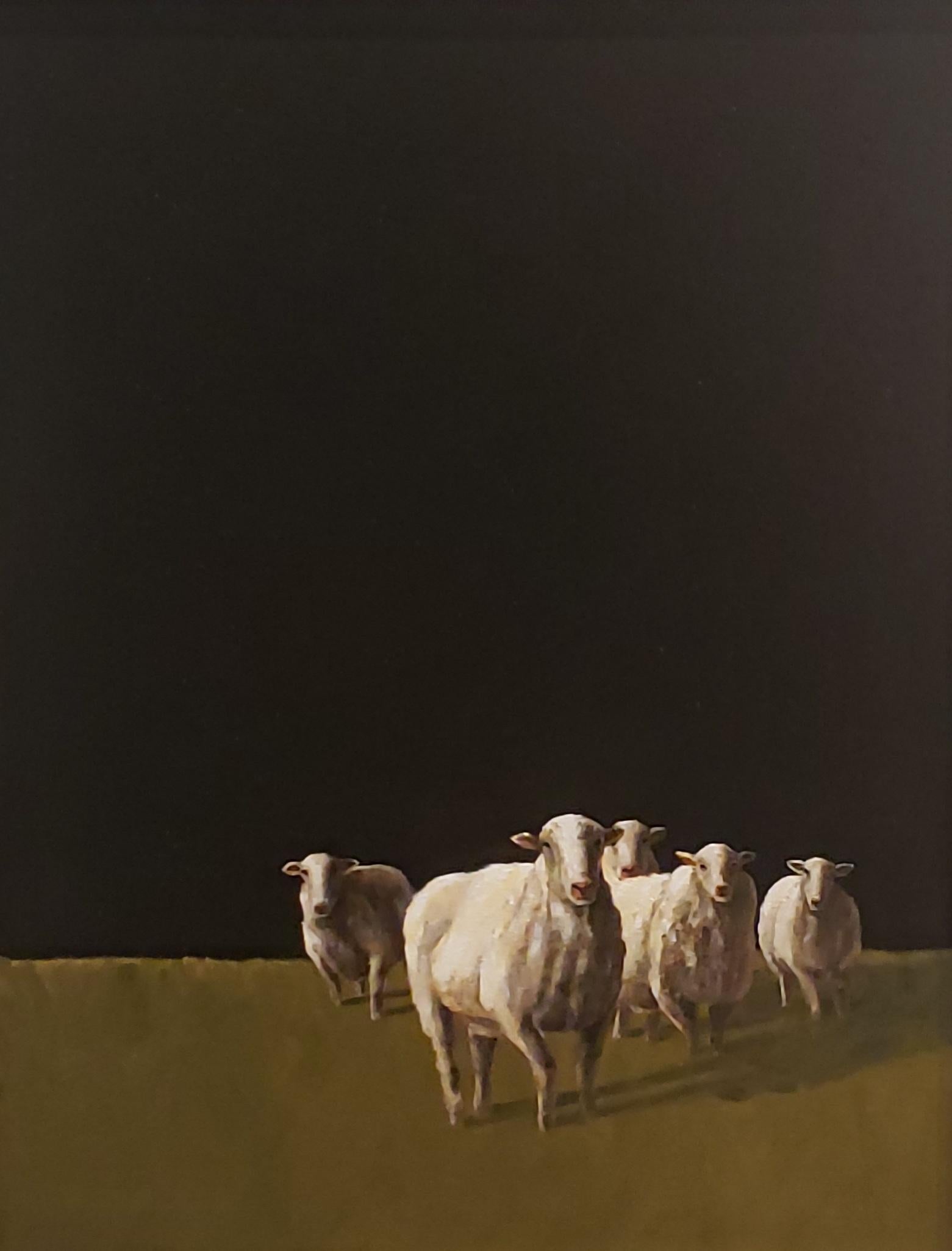 Luke Autrey Landscape Painting - Five Sheep, Cinco Ovejas, Realism, Texas Artist, Livestock. Realist,  