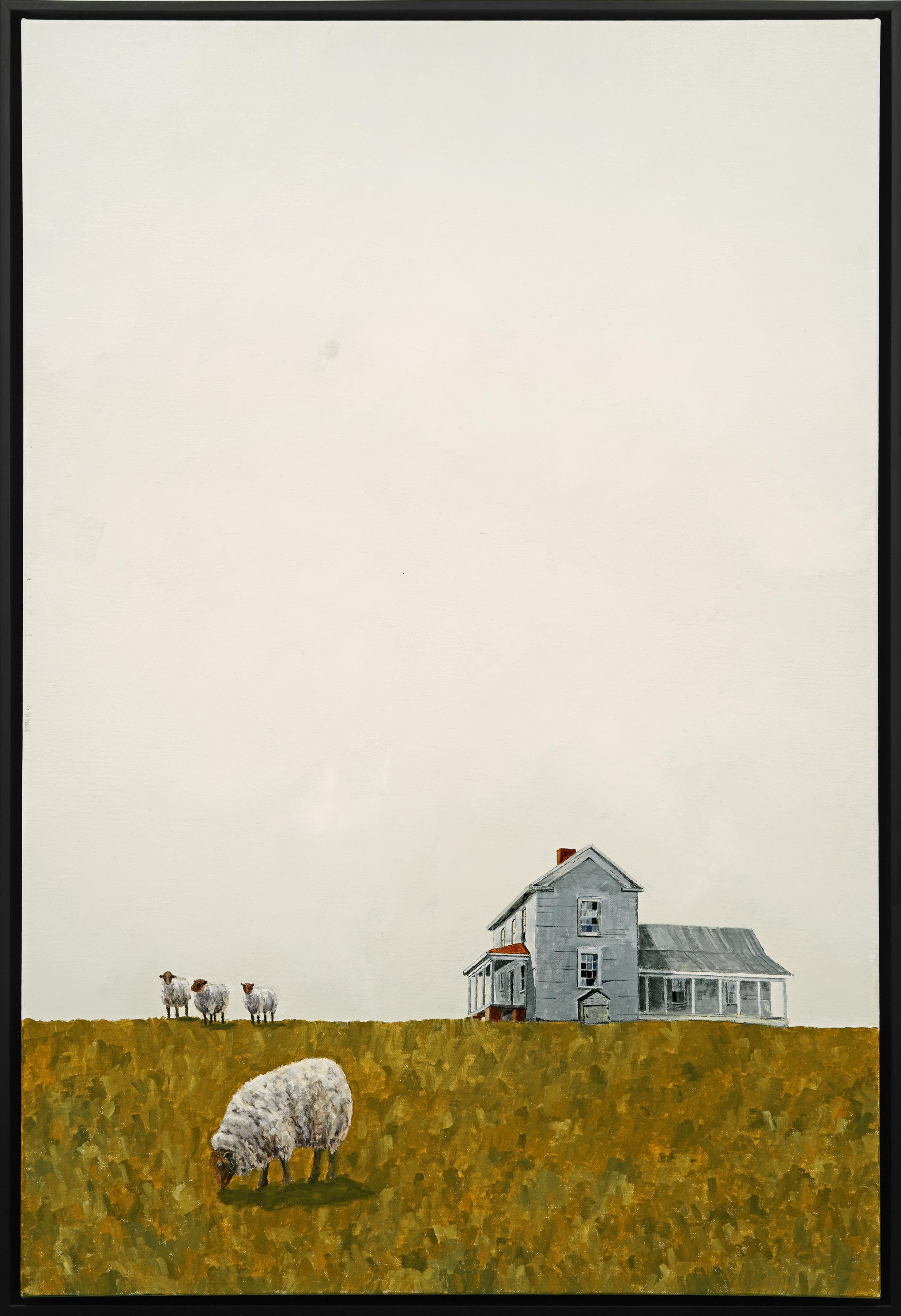 Four Sheep in the Field, Realist, Light/ Shadow  Oil Painting 36" x 24"  Farm