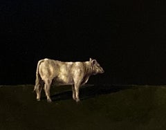 Riflessioni sul campo   Luce/ombra realista  20 "x16"  Paesaggio Bestiame Nature