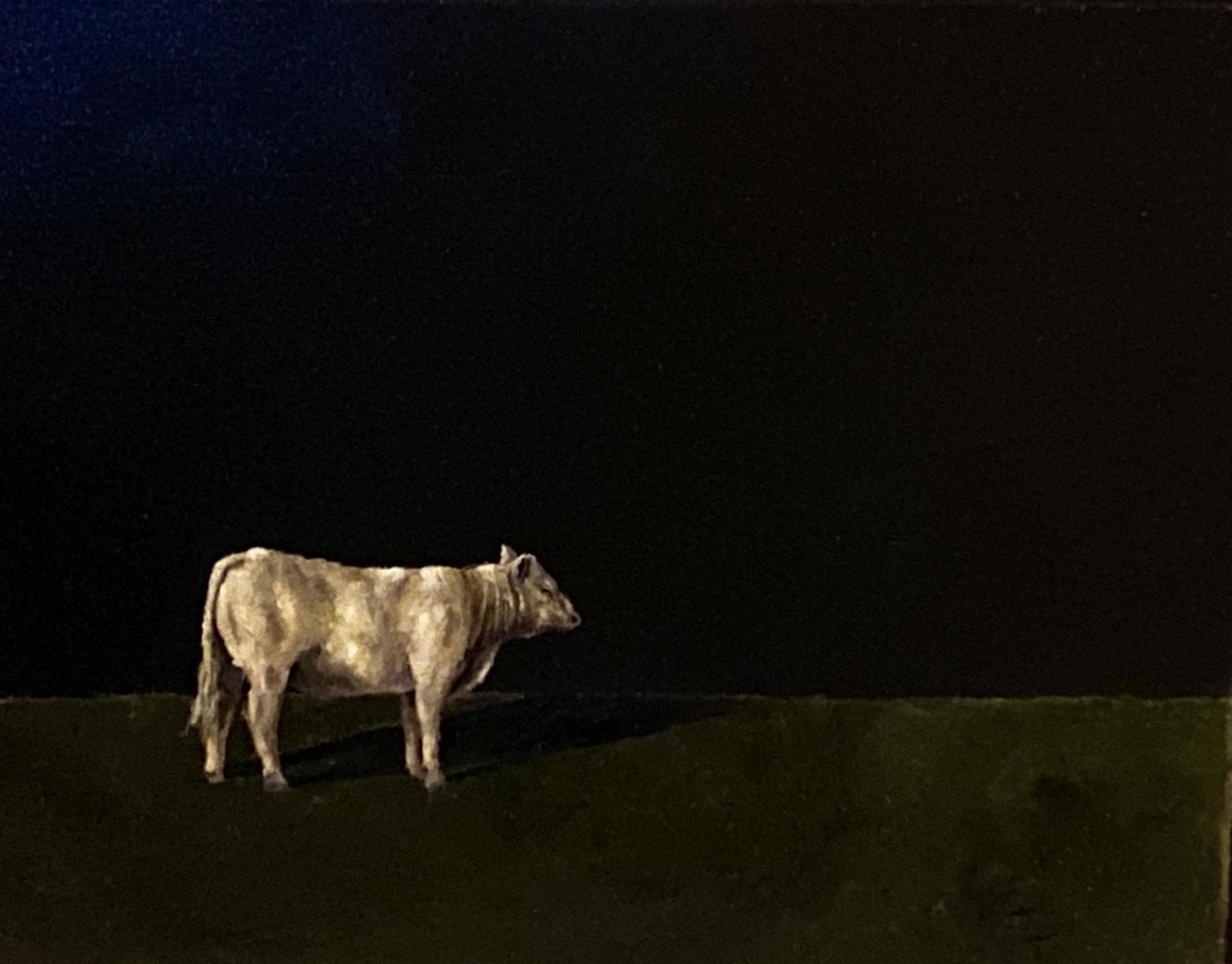 Reflexionando  Realista, Luz/Sombra  Pintura al óleo 20 
