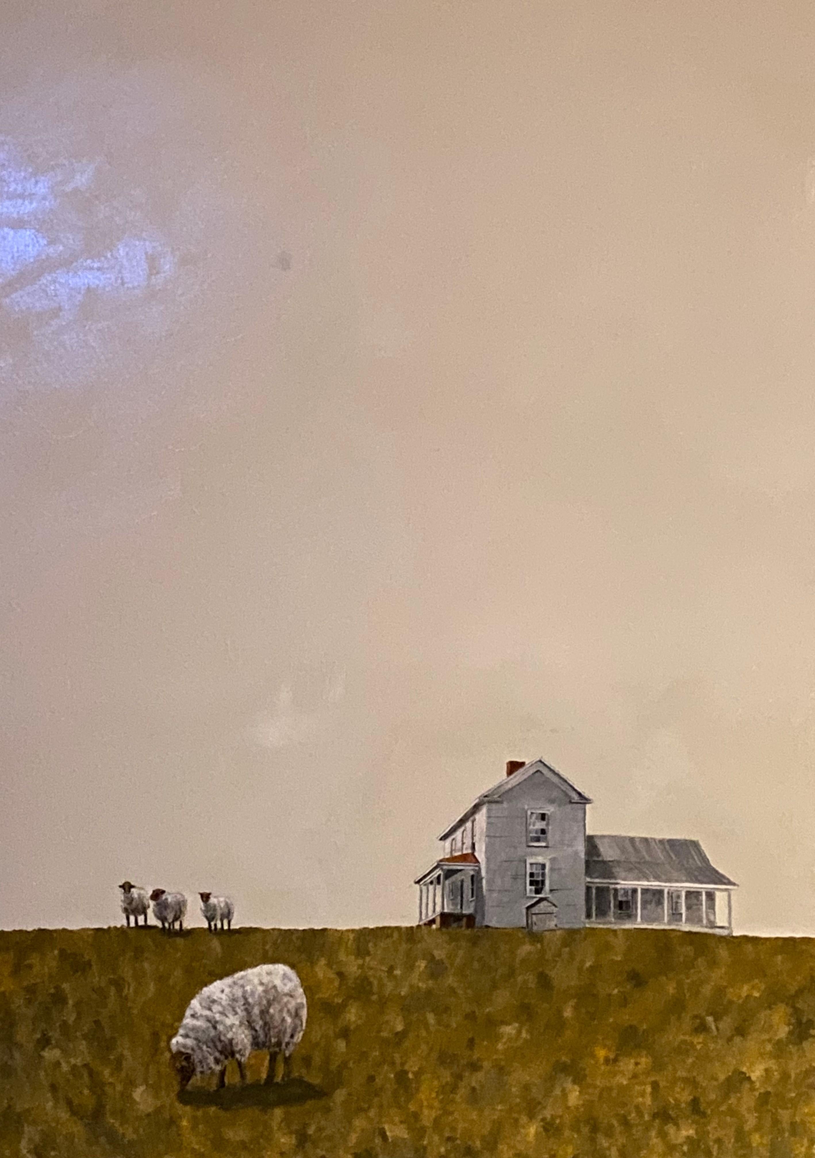 Sheep at Twilight   Realist Light/ Shadow  Oil Painting 20