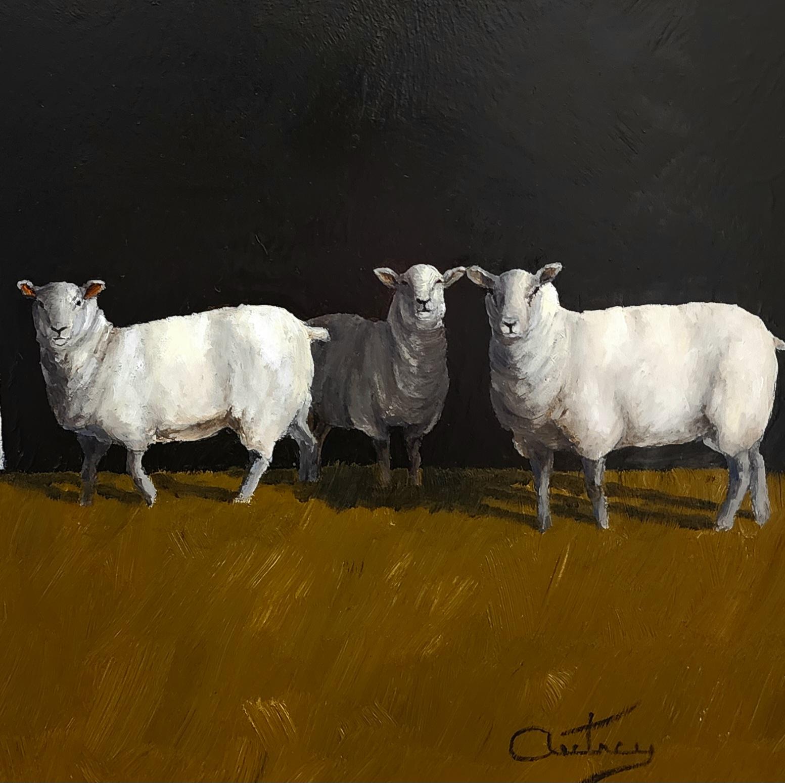 Sheep in the Field, Realist, Light/ Shadow, Oil Painting, Ovejas, Landscape 3
