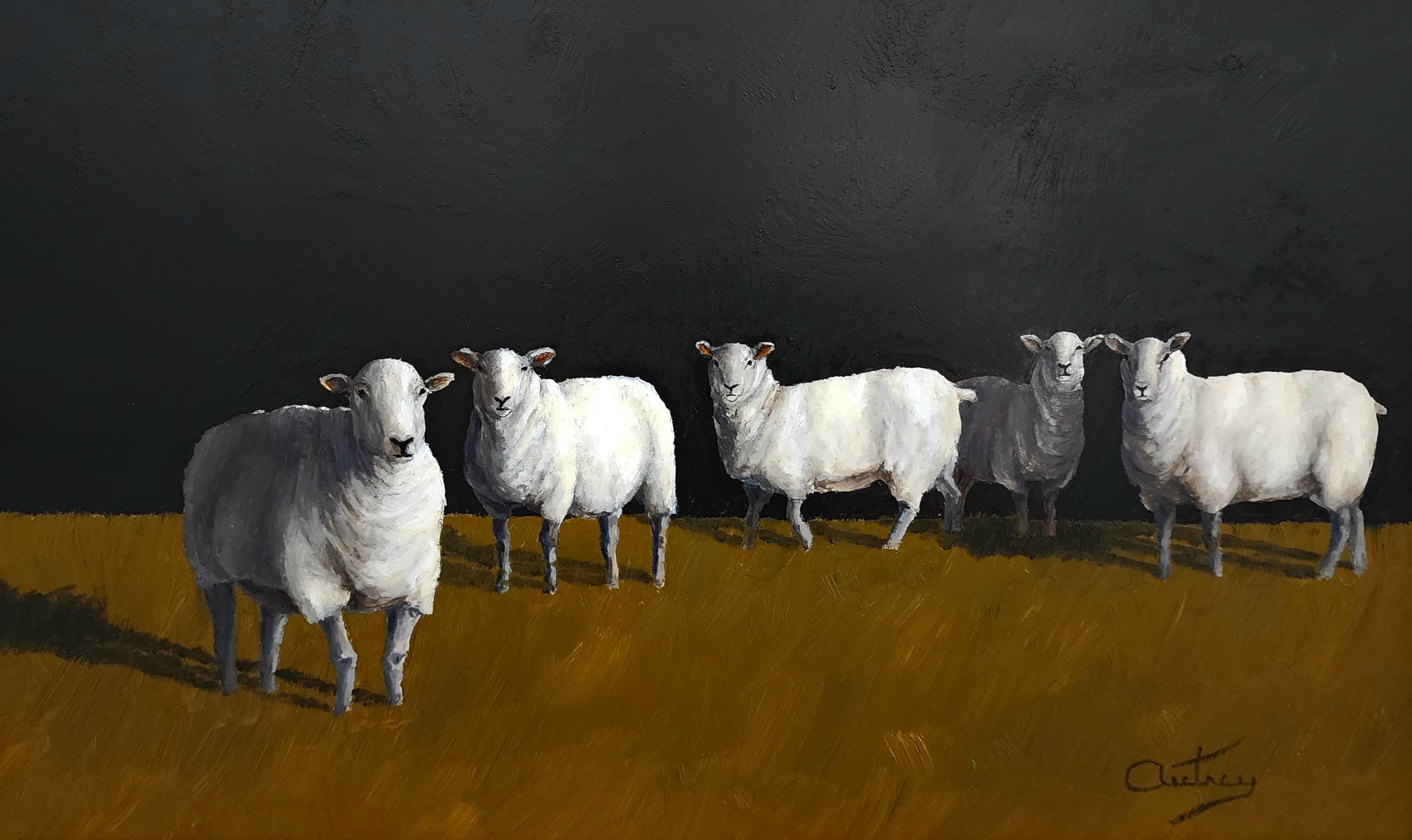 Sheep in the Field, Realist, Light/ Shadow, Oil Painting, Ovejas, Landscape 4