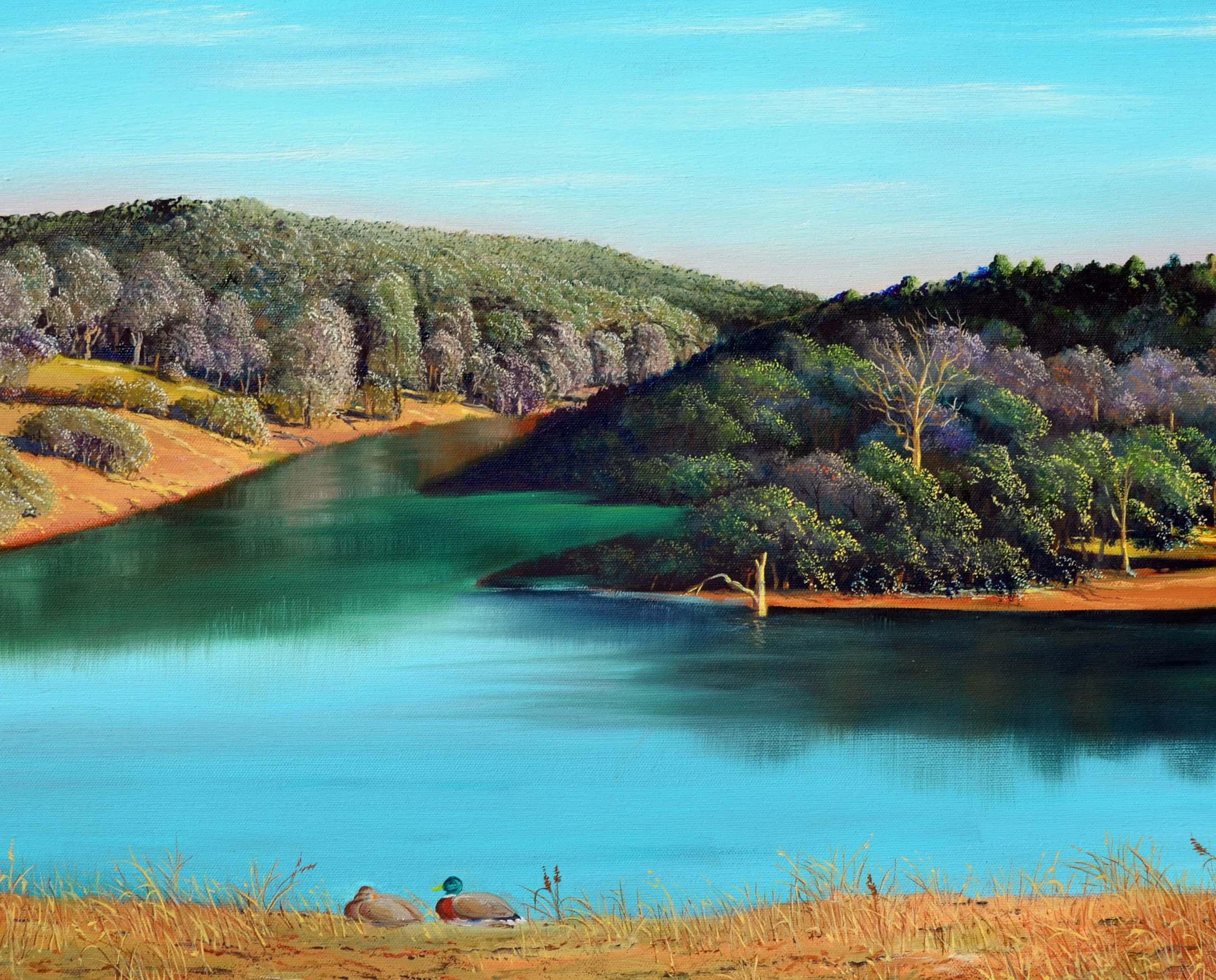 Lake de canards de Californie du Nord, paysage réaliste - Réalisme américain Painting par Luke Stamos