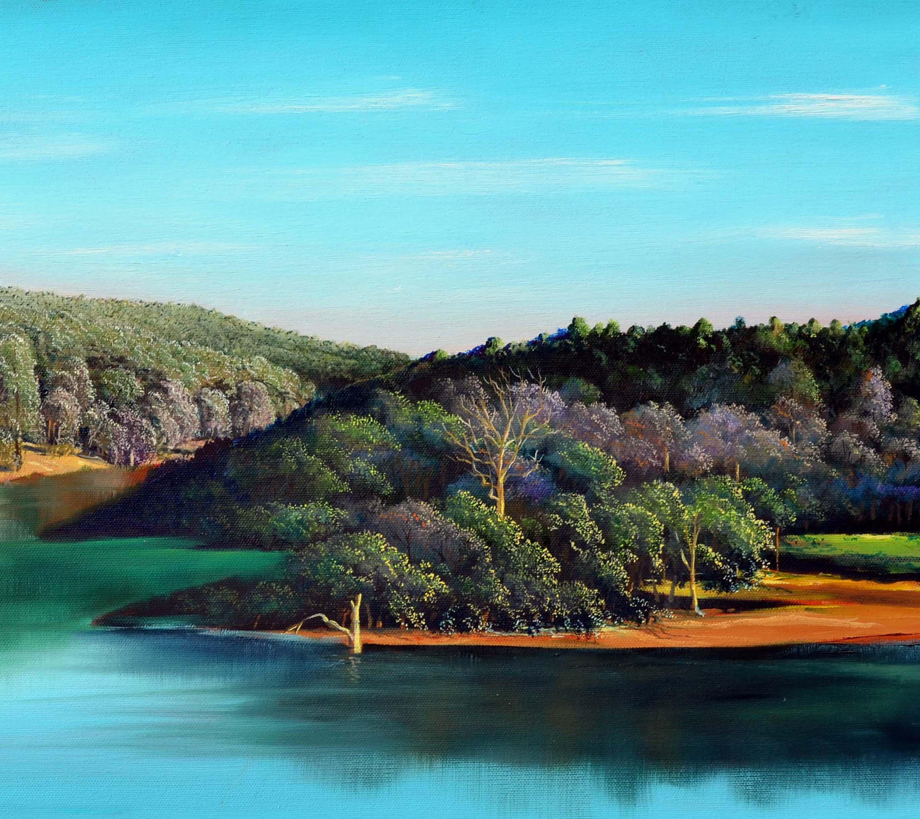 Lake de canards de Californie du Nord, paysage réaliste - Bleu Landscape Painting par Luke Stamos