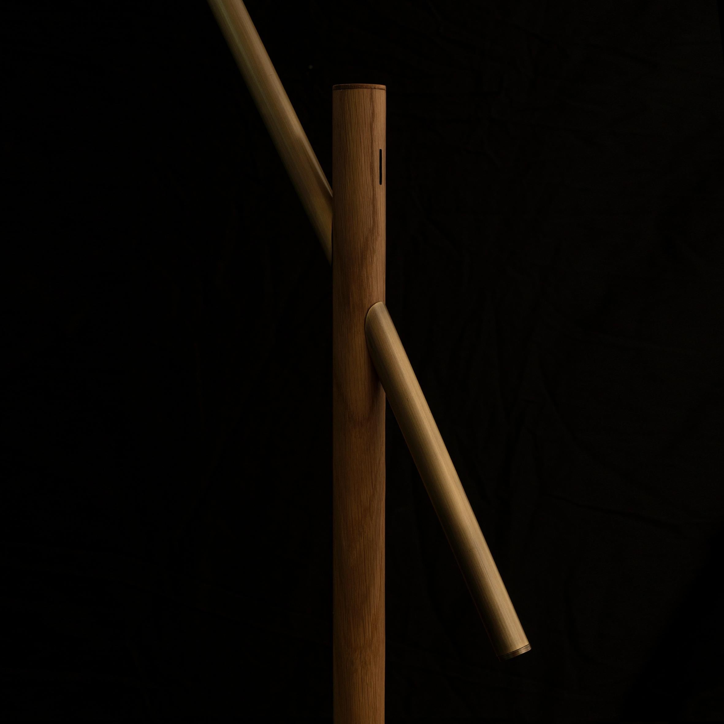 Brossé Lampadaire Lukiwe en vente
